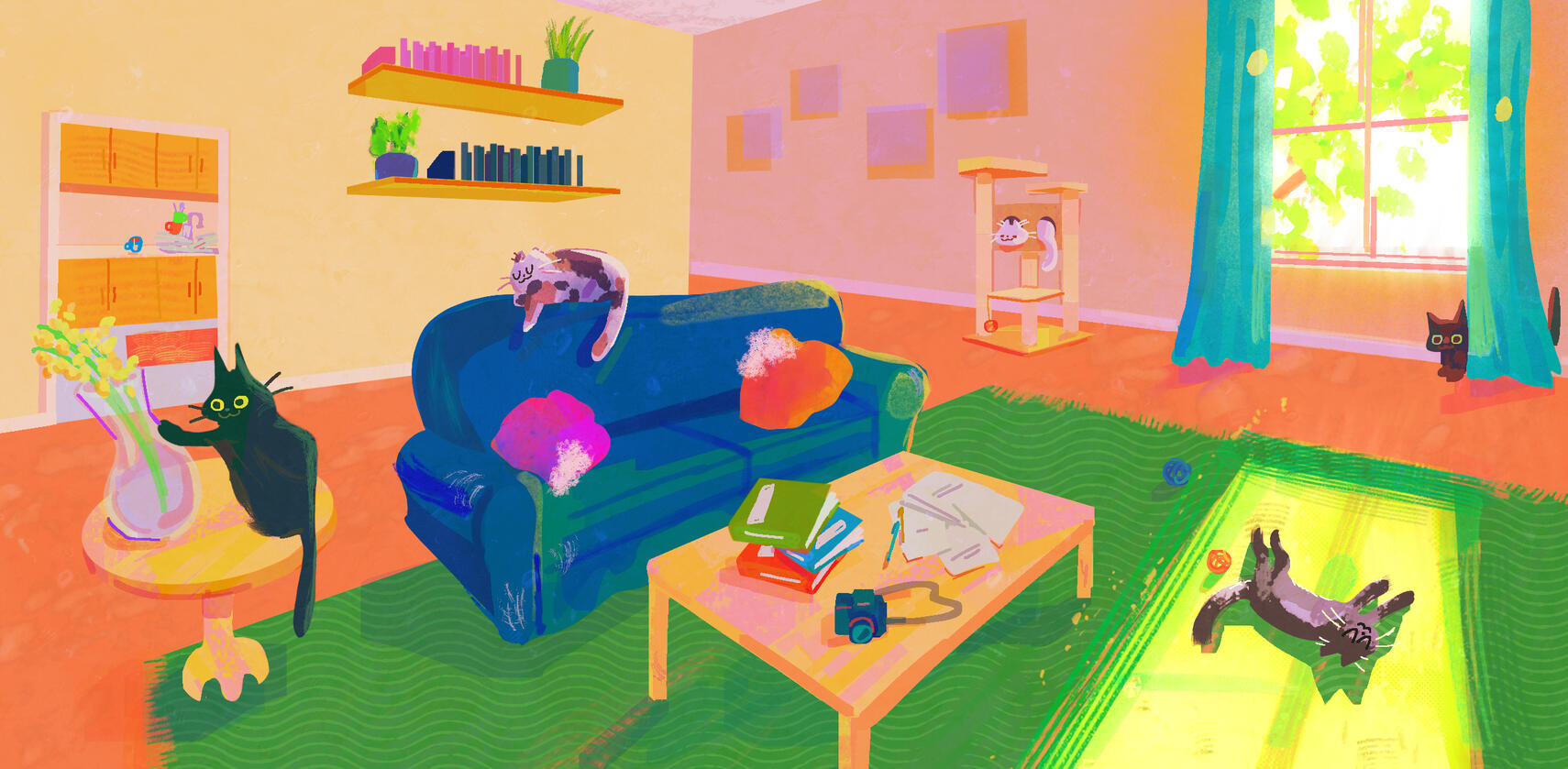 living room living room